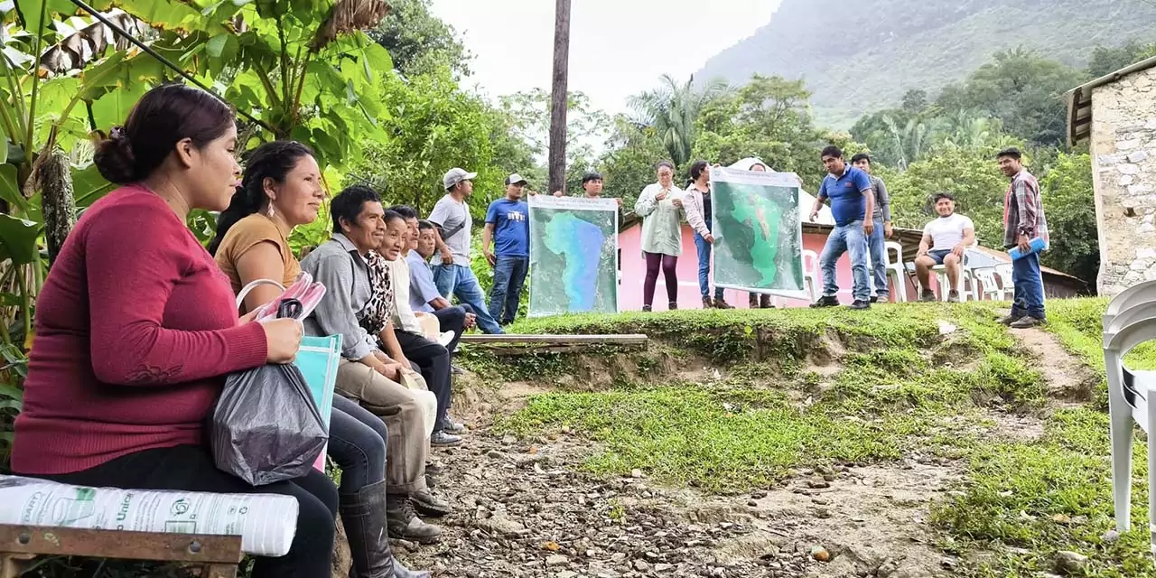 Foto UACh // Trabajos de Ingeniería en Agricultura Sostenible, UACh en Santa María Chilchotla, Oaxaca.