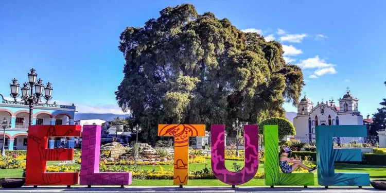 Foto: redes sociales // Legalmente válida, la elección en Santa María del Tule.