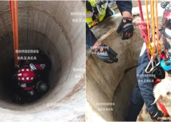 Fotos: Bomberos Oaxaca // Utilizando sistemas de cuerdas y poleas, bomberos lograron el ascenso seguro del perrito tras quedar atrapado a 25 metros de profundidad.