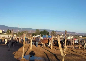 Foto: redes sociales // Baratillo en San Miguel Etla.