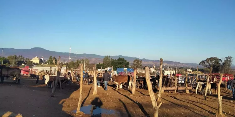 Foto: redes sociales // Baratillo en San Miguel Etla.
