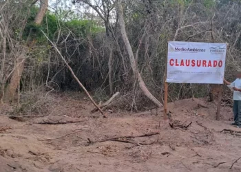 Foto: Conanp // Conanp y Profepa clausuraron caminos de acceso tras la destrucción de zona natural protegida.