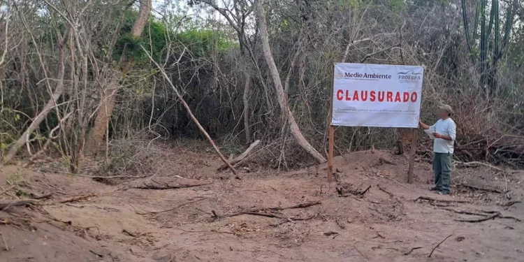Foto: Conanp // Conanp y Profepa clausuraron caminos de acceso tras la destrucción de zona natural protegida.
