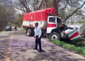 El Torton quedó con la cabina destrozada tras estrellarse contra el objeto fijo.