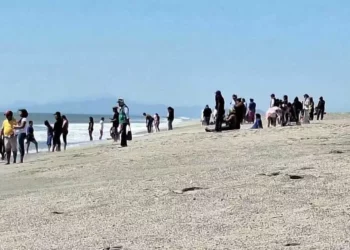 Elementos de la Marina patrullan la zona de San Mateo del Mar en busca de la joven Lesly Sofía.