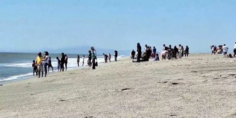 Elementos de la Marina patrullan la zona de San Mateo del Mar en busca de la joven Lesly Sofía.