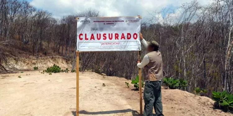 Educa señala que "la extracción ilegal y no controlada de material pétreo está acabando con los ríos de Oaxaca".