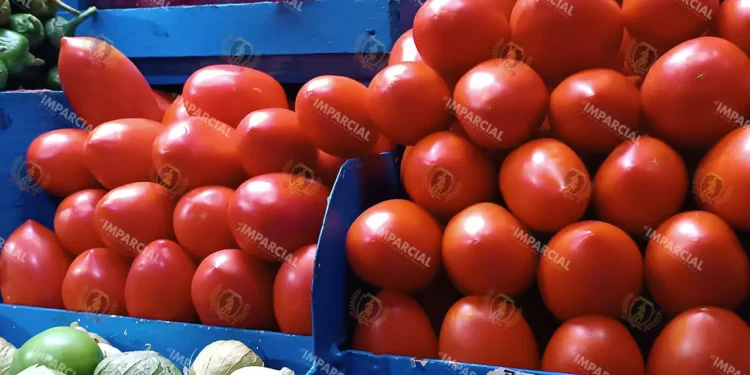 Foto: Lisbeth Mejía // El tomate rojo ha frenado el incremento en su precio luego de ser inalcanzable para consumidores.