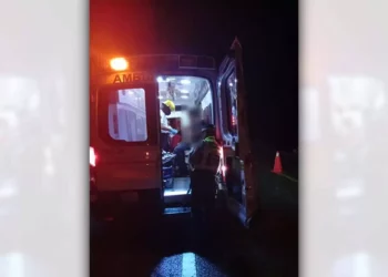 Los tripulantes resultaron heridos tras la volcadura de la pesada unidad en los límites de Oaxaca y Puebla.