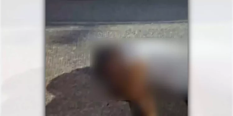 El vehículo resultó con daños de consideración tras el impacto.
