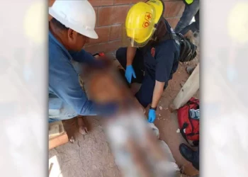 Paramédicos de Bomberos estabilizaron y trasladaron al joven trabajador para descartar lesiones internas.