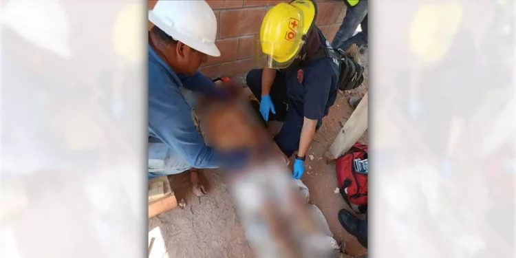 Paramédicos de Bomberos estabilizaron y trasladaron al joven trabajador para descartar lesiones internas.