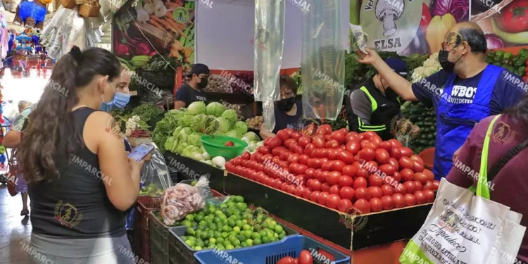Registra el jitomate su precio más alto, en 60 pesos el kg
