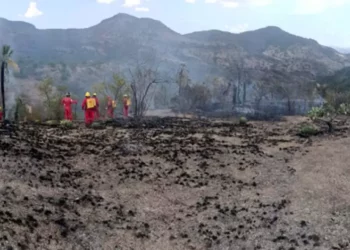 Tras varias horas de combate, las unidades de emergencia lograron sofocar el incendio.