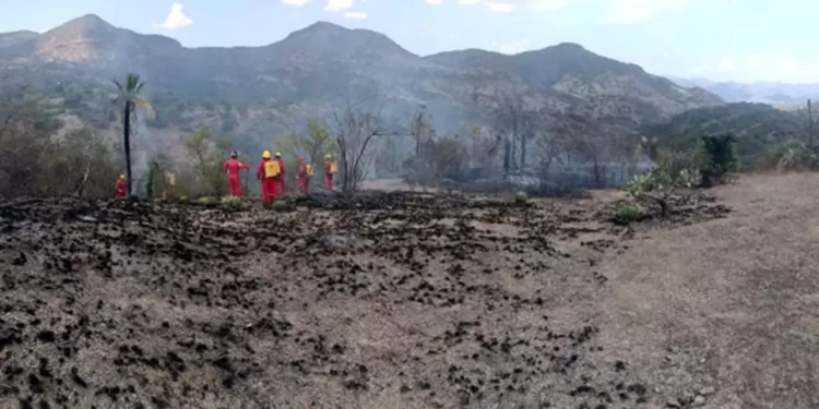 Tras varias horas de combate, las unidades de emergencia lograron sofocar el incendio.