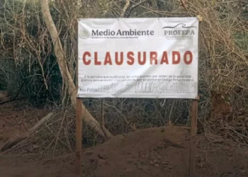Foto: CONANP-Parque Nacional Huatulco // Tala y comercio ilegales en el Parque Nacional Huatulco