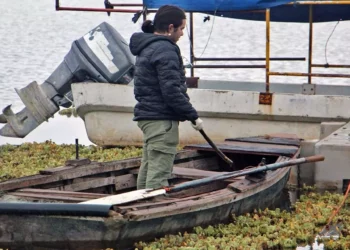 Foto: Gobierno de Huajuapan de León // El lirio acuático, un problema para la presa Yosocuta, parte de los recursos podrían emplearse para la limpieza del embalse.