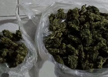 Tras el hallazgo de la droga, los implicados quedaron detenidos.