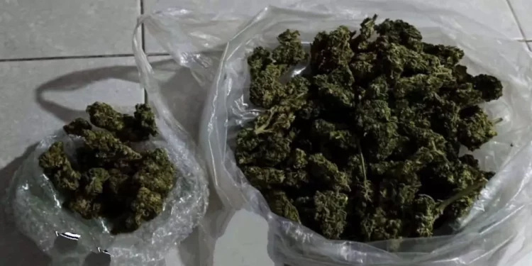 Tras el hallazgo de la droga, los implicados quedaron detenidos.