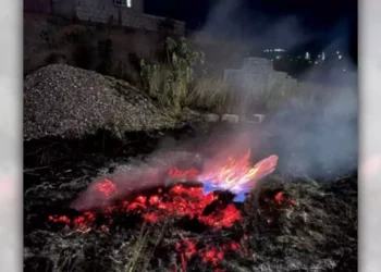 Elementos de Bomberos sofocan las llamas en la colonia Lázaro Cárdenas.