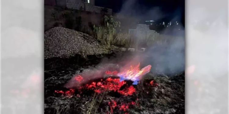 Elementos de Bomberos sofocan las llamas en la colonia Lázaro Cárdenas.