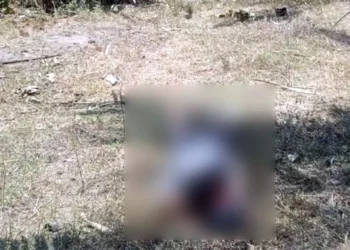 Agentes ministeriales y peritos procesaron la escena en el rancho ‘El Conejo’ tras el asesinato de un trabajador del campo.