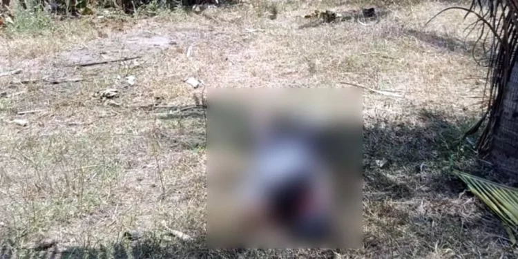 Agentes ministeriales y peritos procesaron la escena en el rancho ‘El Conejo’ tras el asesinato de un trabajador del campo.