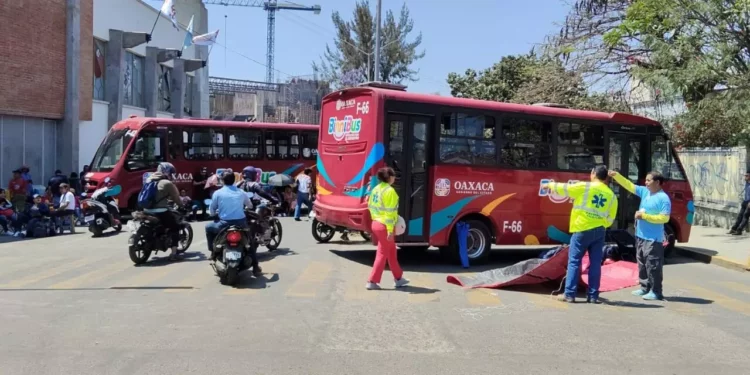 ¡Colapsan el BinniBus con bloqueos! Suspenden rutas clave y afectan movilidad en Oaxaca