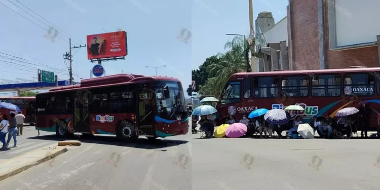 VIDEO | Bloqueos con BinniBus desatan caos en Oaxaca: PAAE exigen cumplimiento de acuerdos