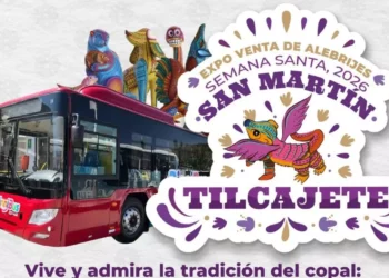 ¡BinniBus GRATIS! Cómo llegar este domingo a la Expo Venta de Alebrijes en San Martín Tilcajete