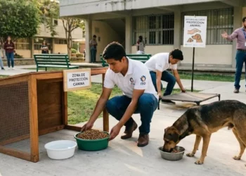 Tras reporte de Fiscalía, protegen a perros en un Tecnológico de Oaxaca por posible maltrato