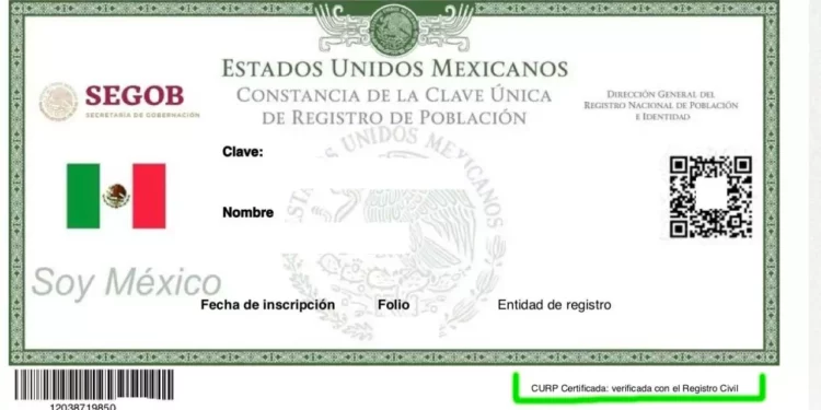 ¿Cómo corregir tu CURP en 2026? Guía completa para certificar tu clave y evitar problemas
