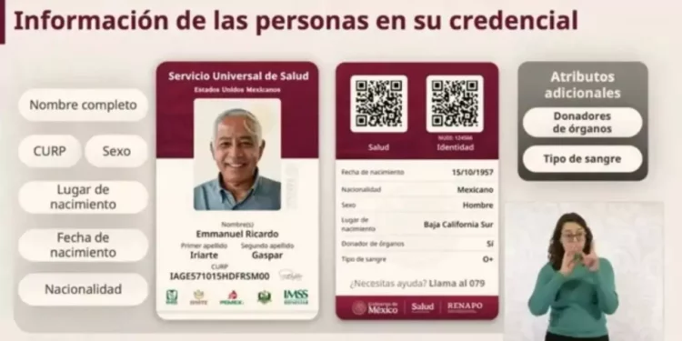 Servicio Universal de Salud en México: estos son los requisitos para tramitar la credencial desde el 13 de abril