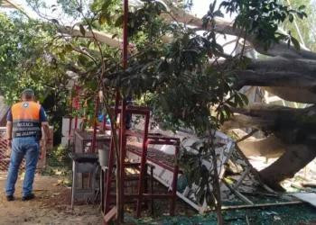 Trabajadores de los tres niveles de gobierno suman esfuerzos para retirar escombros y ramas que obstruyen el paso peatonal y vehicular en la colonia del Maestro.