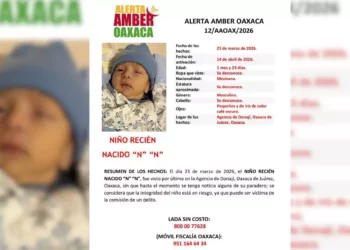 Máxima alerta en Oaxaca: Desaparece recién nacido en la agencia de Donají