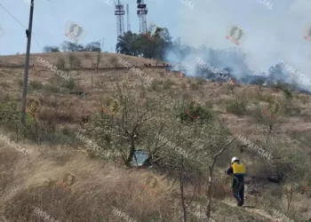 Foto: Lisbeth Mejía // El incendio registrado este jueves en el Cerro del Crestón.