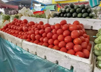 El tomate rojo se fue a las nubes.