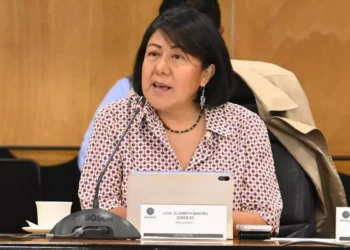 Foto: Archivo El Imparcial // Elizabeth Sánchez González, presidenta del Instituto Estatal Electoral y de Participación Ciudadana de Oaxaca, va por un lugar en el INE.