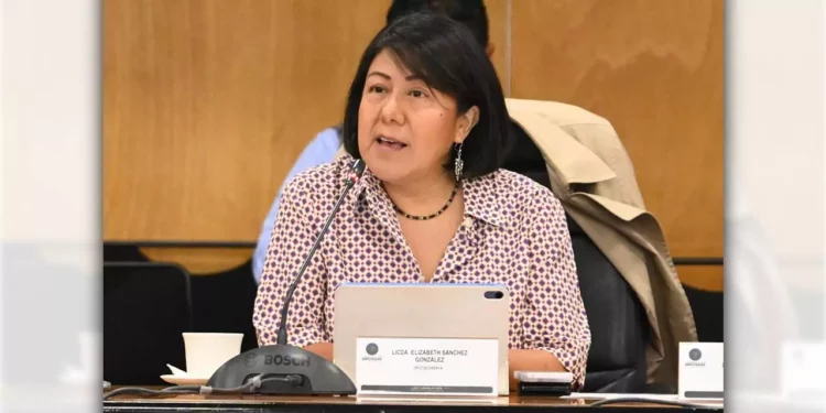 Foto: Archivo El Imparcial // Elizabeth Sánchez González, presidenta del Instituto Estatal Electoral y de Participación Ciudadana de Oaxaca, va por un lugar en el INE.