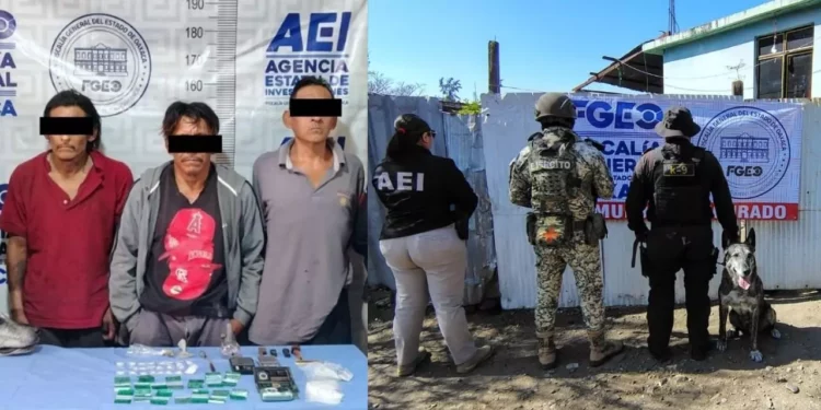 Cae red de narcomenudeo en Valles Centrales: tres detenidos y droga asegurada