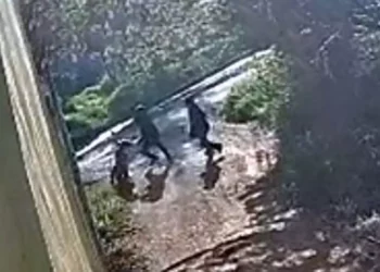 La calle Chiapas fue escenario de un nuevo asalto; vecinos de San Jacinto Amilpas piden acciones contundentes contra la delincuencia