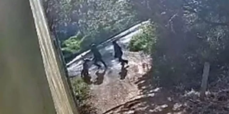 La calle Chiapas fue escenario de un nuevo asalto; vecinos de San Jacinto Amilpas piden acciones contundentes contra la delincuencia