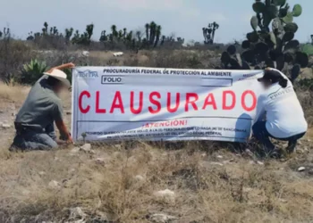 La Profepa detectó actividades relacionadas con la lotificación para viviendas dentro del Área Natural Protegida.
