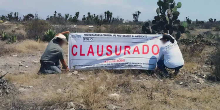 La Profepa detectó actividades relacionadas con la lotificación para viviendas dentro del Área Natural Protegida.