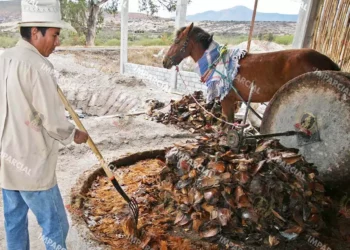 Foto: Archivo El Imparcial // La producción de mezcal, de los pocos sectores con crecimiento.