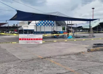 Los comerciantes han colocado más contendores de basura y optan por materiales que son más amigables con el medio ambiente.