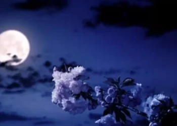 Luna de las Flores 2026: ¿A qué hora y cómo ver el espectáculo astronómico en México?
