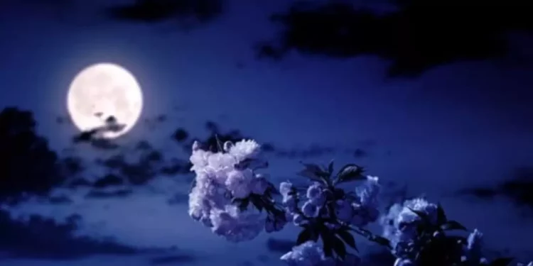 Luna de las Flores 2026: ¿A qué hora y cómo ver el espectáculo astronómico en México?