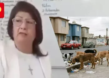 VIDEO | Indignación en Tecámac: casi 11 mil perros sacrificados, confirma Mariela Gutiérrez