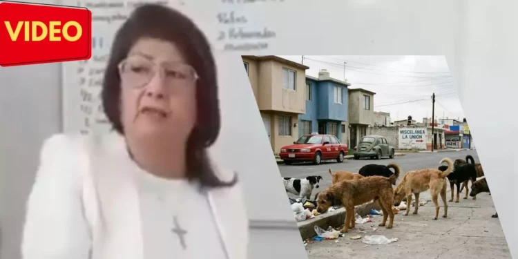 VIDEO | Indignación en Tecámac: casi 11 mil perros sacrificados, confirma Mariela Gutiérrez